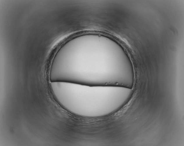 X0000111211311200907011042