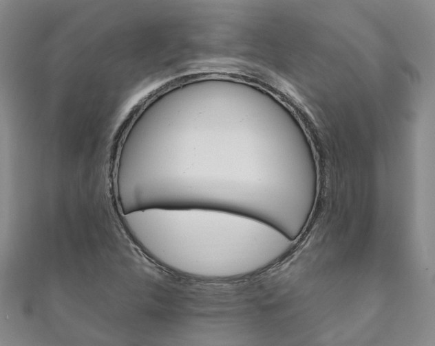 X0000111211312200907011042