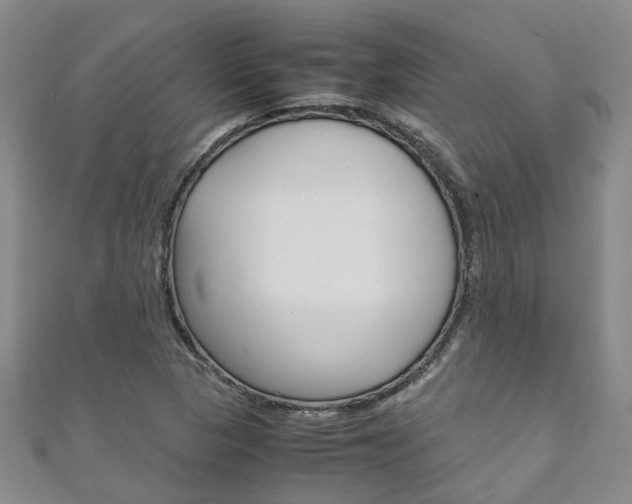 X0000111211313200907011042