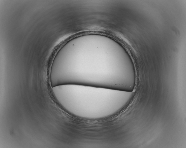 X0000111211315200907011042
