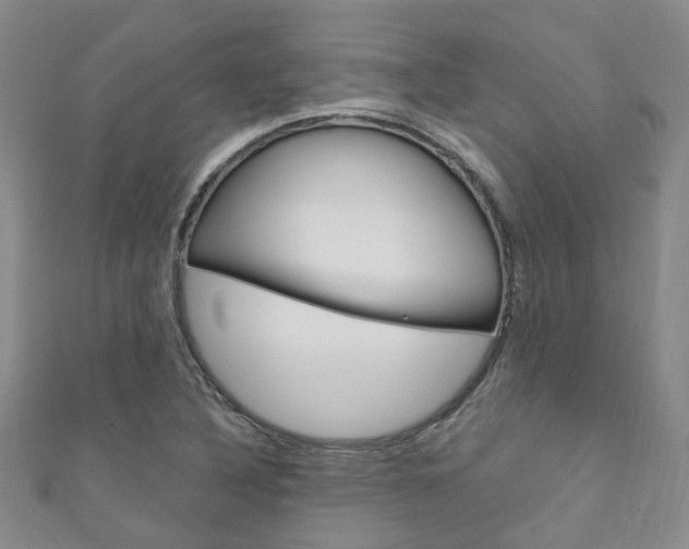 X0000111211316200907011042
