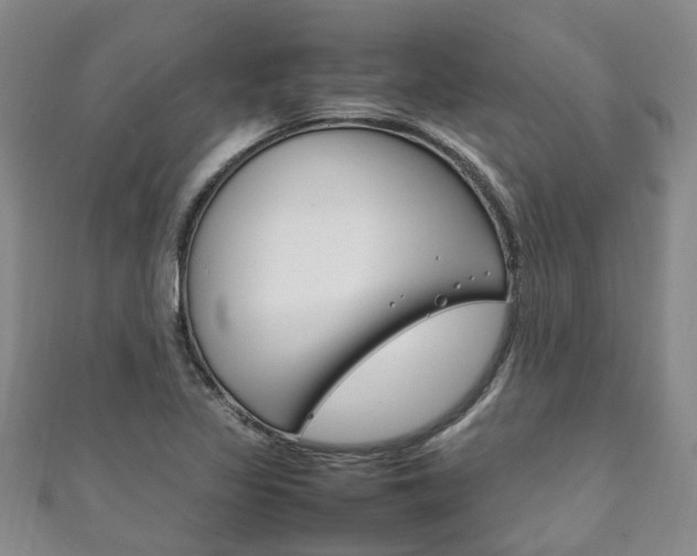 X0000111211317200907011042
