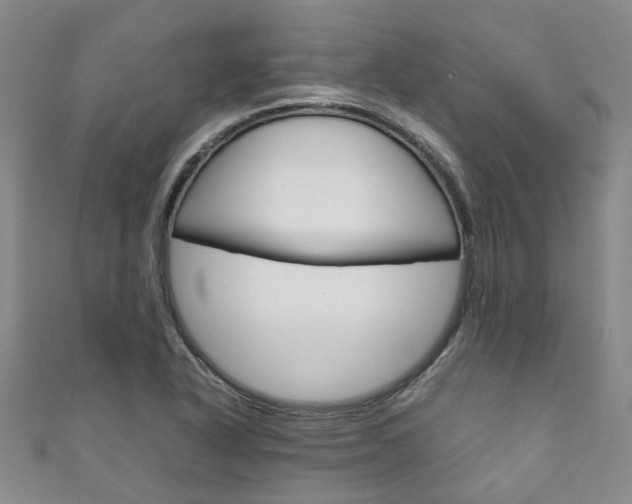 X0000111211318200907011042