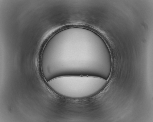 X0000111211319200907011042