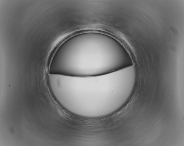 X0000111211320200907011042