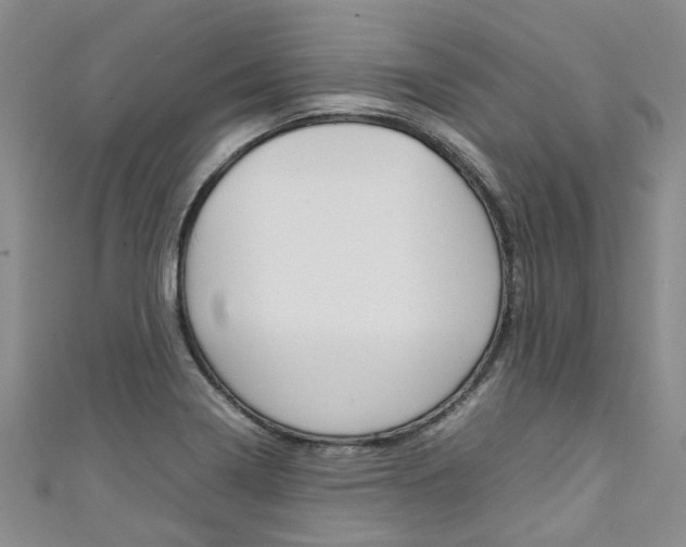 X0000111211322200907011042