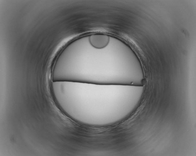 X0000111211323200907011043