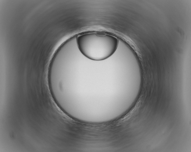 X0000111211326200907011043