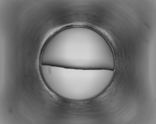 X0000111211327200907011043
