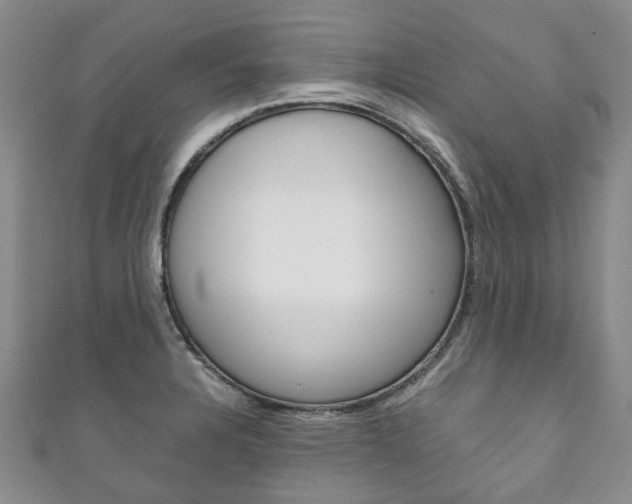 X0000111211328200907011043