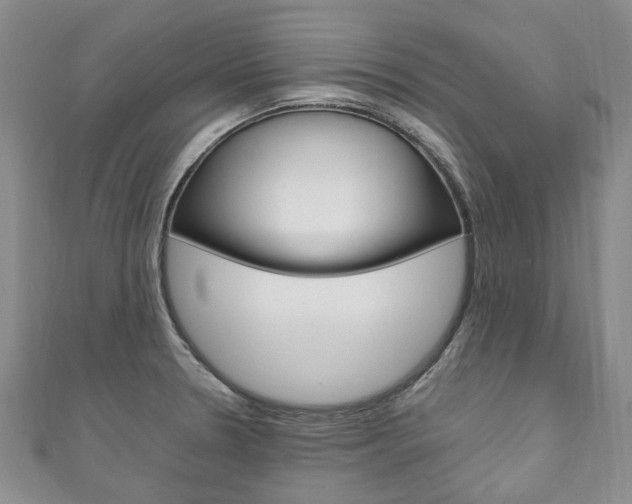 X0000111211330200907011043