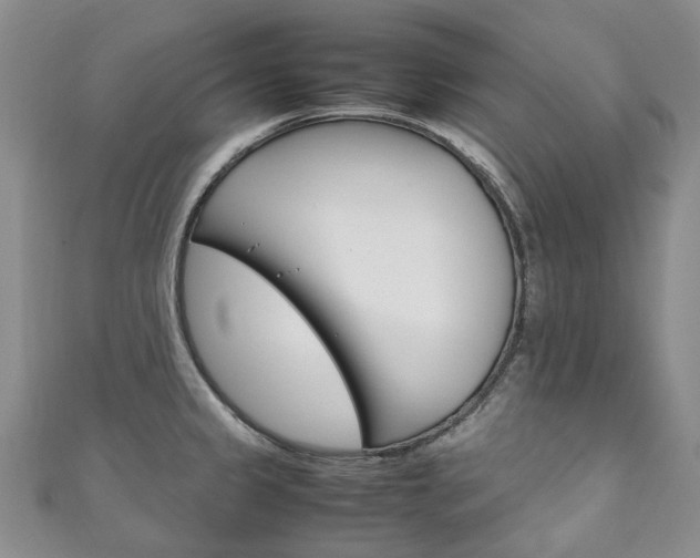 X0000111211333200907011043