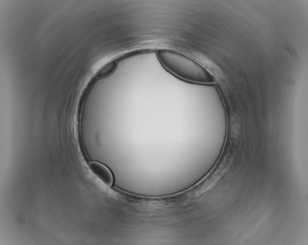 X0000111211334200907011043