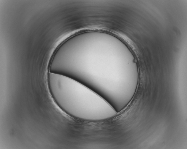 X0000111211335200907011043