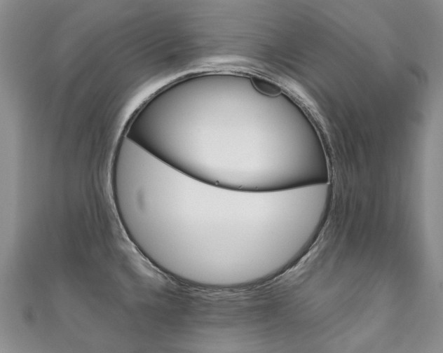 X0000111211336200907011043