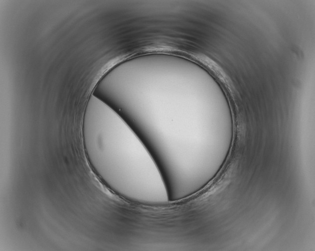 X0000111211337200907011043