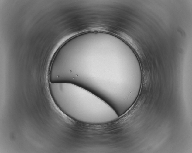 X0000111211339200907011043