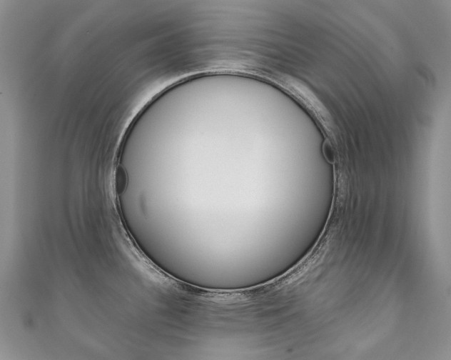 X0000111211340200907011043