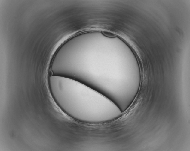X0000111211341200907011043