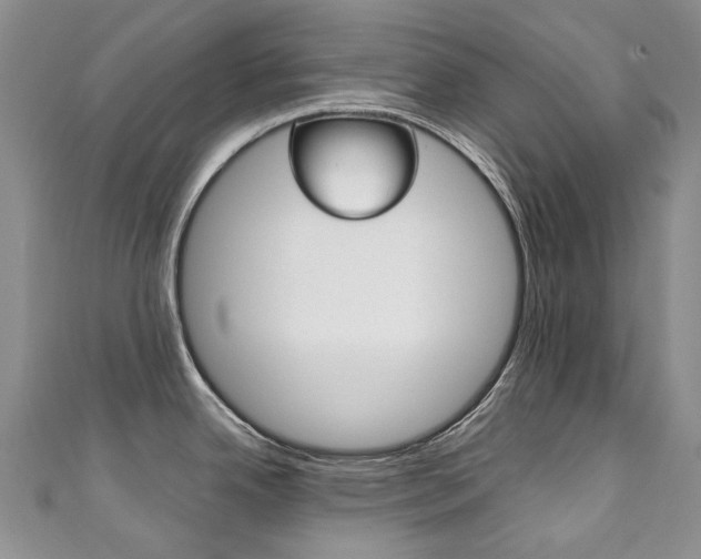 X0000111211342200907011043