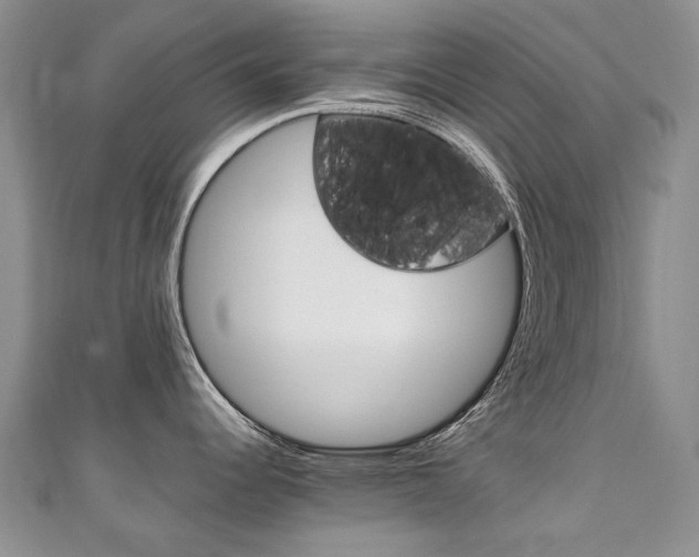 X0000111211344200907011043