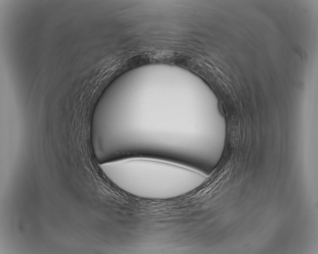 X0000111211345200907011042