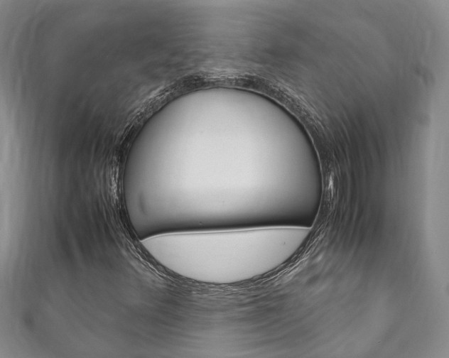 X0000111211348200907011042