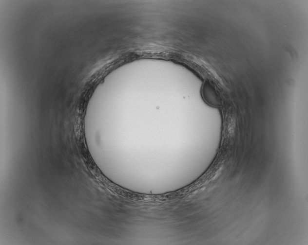 X0000111211350200907011042