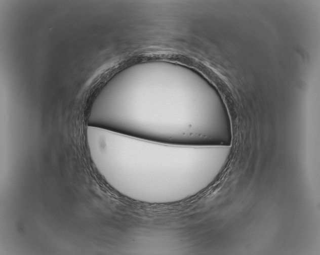 X0000111211351200907011042