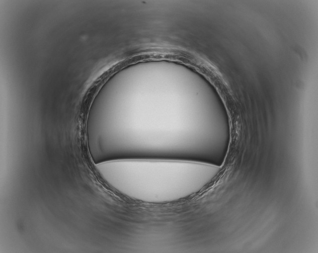 X0000111211352200907011042