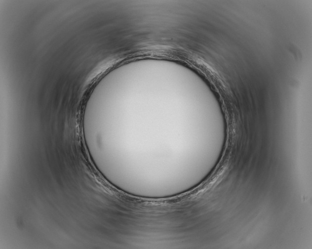 X0000111211354200907011042