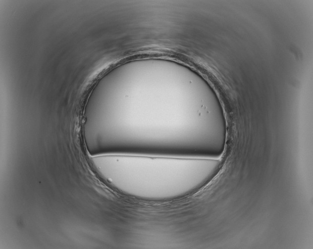 X0000111211355200907011042