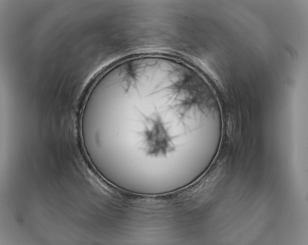 X0000111211356200907011042