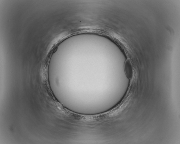 X0000111211357200907011042