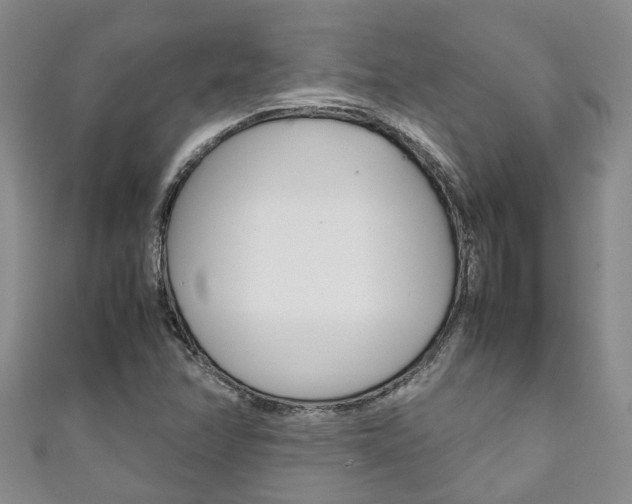 X0000111211358200907011042