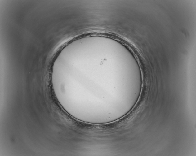 X0000111211359200907011042