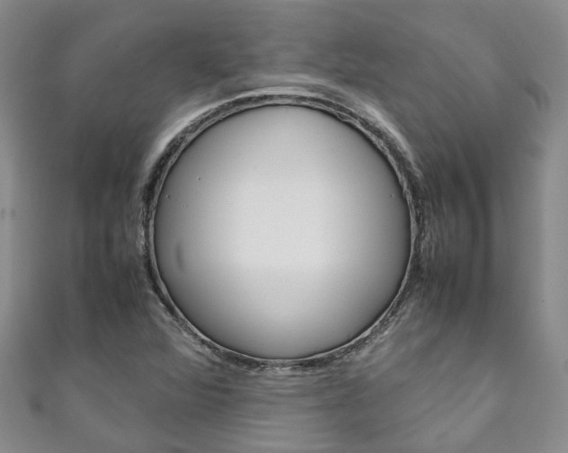 X0000111211360200907011042