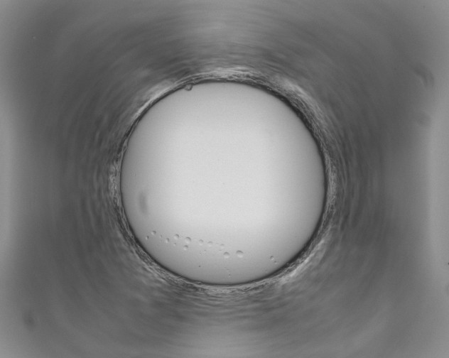 X0000111211361200907011042