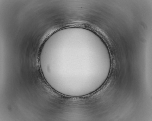 X0000111211362200907011042