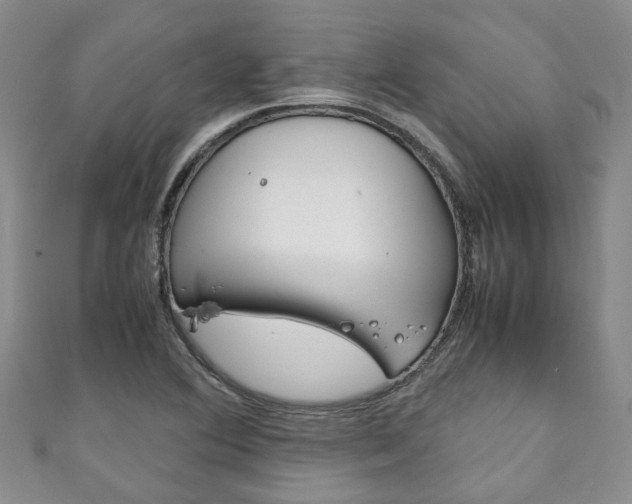 X0000111211364200907011042