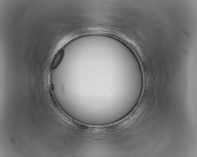 X0000111211365200907011042
