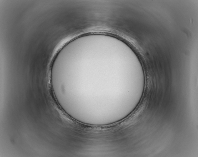 X0000111211366200907011042