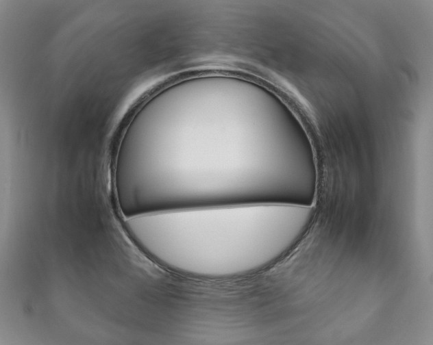 X0000111211368200907011042