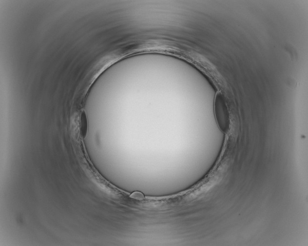 X0000111211369200907011042