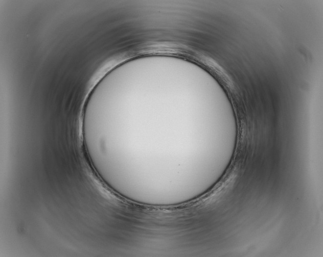 X0000111211370200907011042