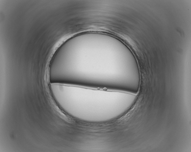X0000111211371200907011042