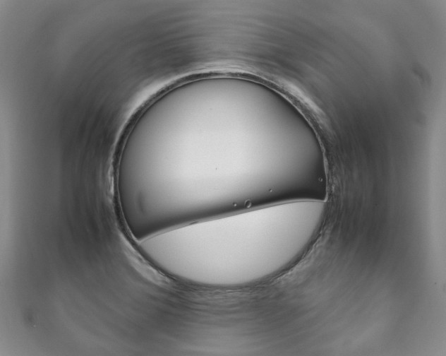 X0000111211372200907011042