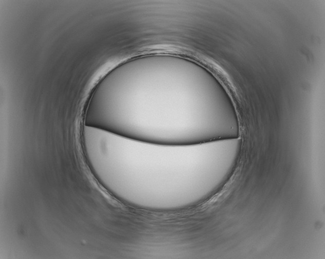 X0000111211373200907011042