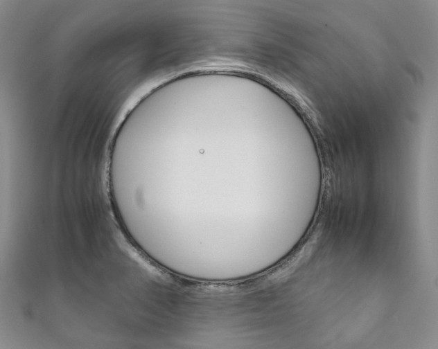 X0000111211374200907011042