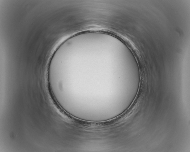 X0000111211375200907011042